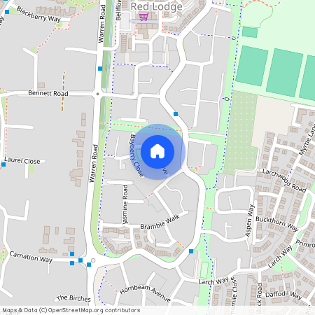 Orchid Drive, Red Lodge, Bury St. Edmunds, IP28 8GR
