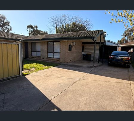 687 Lower North East Road, Paradise, SA 5075 - Photo 4