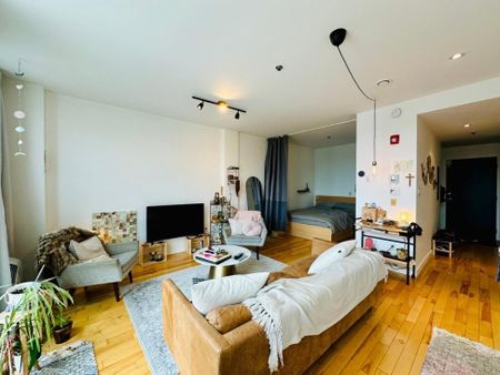 Appartement à louer - Montréal (Le Sud-Ouest) (Saint-Henri) - Photo 5