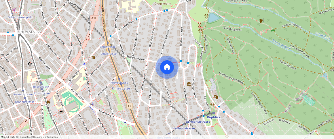 Goldauerstrasse **, 8006, Zürich