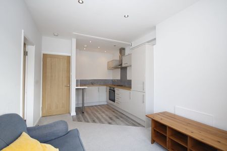 Maule Drive, Flat 1/2, Glasgow, Partick, G11 7XH - Photo 3