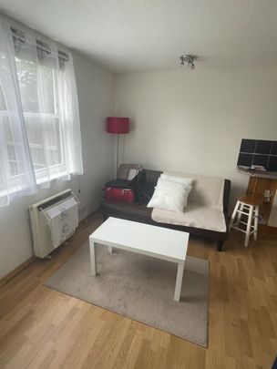 Studio Flat, Spencer Mews, W6 - Photo 1