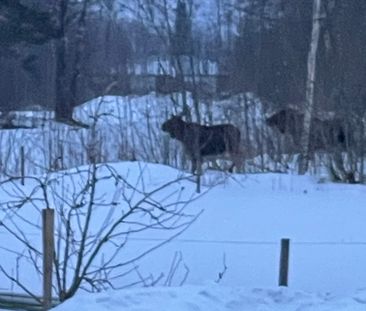 Norra Sanna, Karlstad - Photo 2