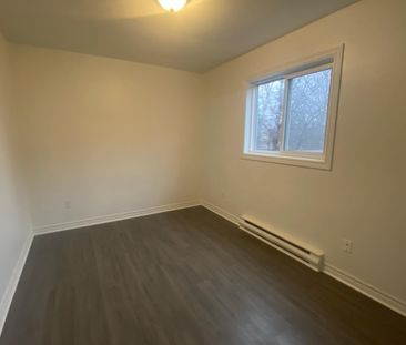 56a Chadwick St – 3 BR DARTMOUTH APARTMENT AVAILABLE MARCH 1ST! - Photo 2