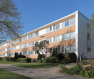 3-Zimmer-Wohnung sucht Nachmieter // 2.OG links - Foto 1