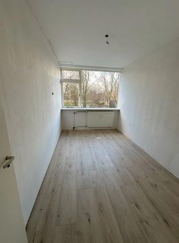 Te huur: Appartement Burgemeester Van Haarenlaan in Schiedam - Photo 3