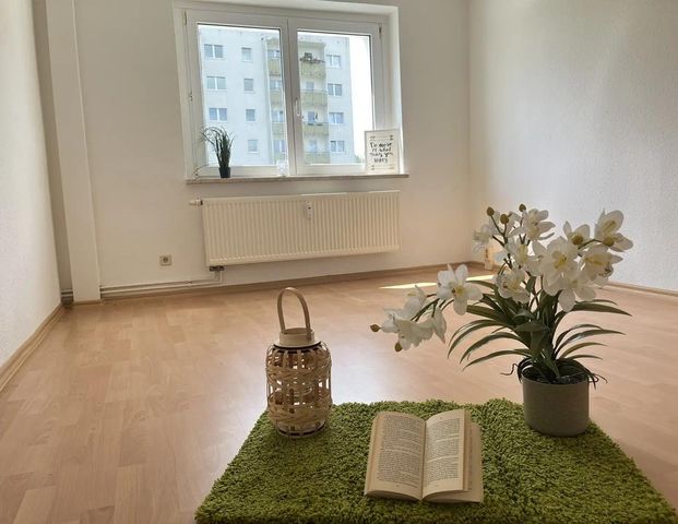 Im Erdgeschoss zuhause – ruhig wohnen mit bester Verkehrsanbindung - Photo 1