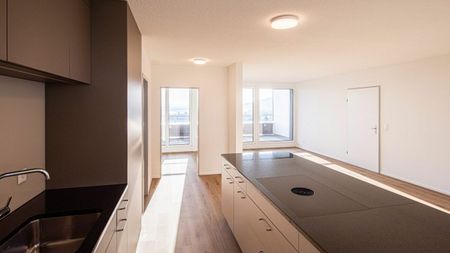 Stylische Penthouse Wohnung 2,5-Zi - Foto 5