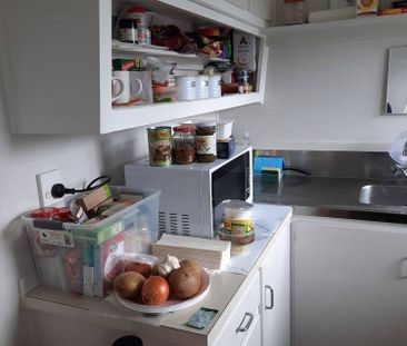 Fresh as a Daisy - Photo 5