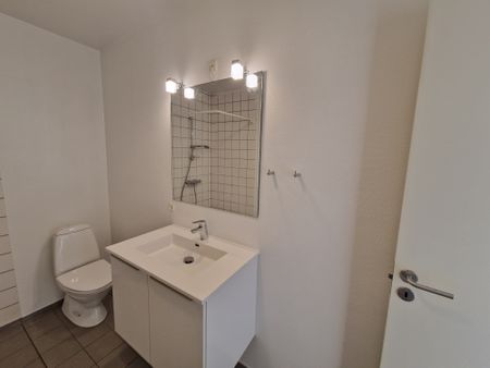 Kæledyr tilladt i nyrenoveret lejlighed - Photo 3