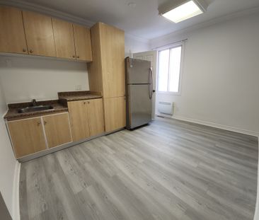 10580 Boulevard Saint-Laurent, #203 - Photo 4