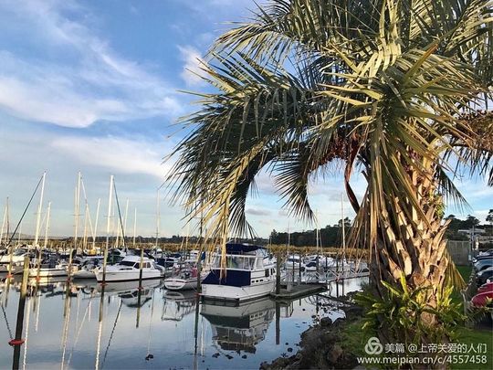 Looking for a single man - Photo 1