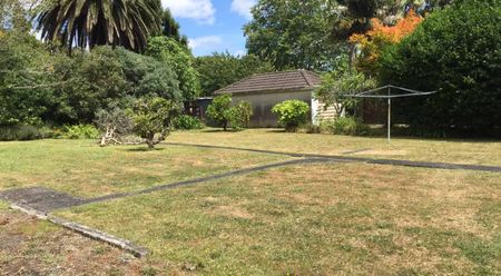 Walk to Town! - Photo 5