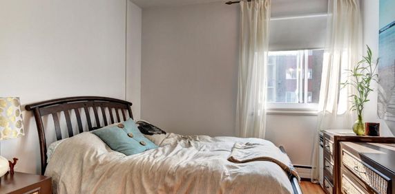 JOLI 3 1/2 RÉNOVÉ TOUT BÉTON - LIBRE - Photo 2