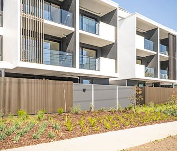 209/1090-1098 Nepean Highway, Highett VIC 3190 - Apartment For Rent... - Photo 4