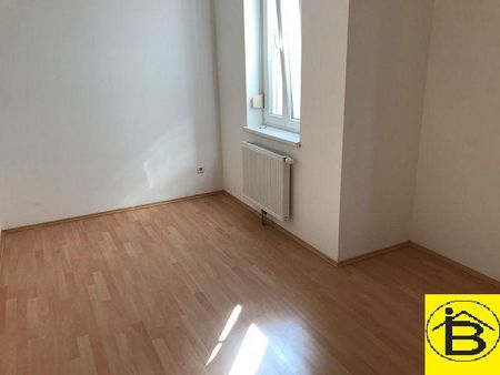 15430 - Schöne 5 Zimmer Familienwohnung - Foto 4