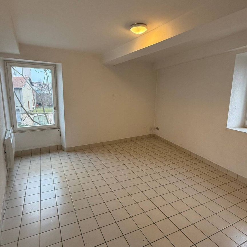 Location appartement 2 pièces 46.19 m² à Romans-sur-Isère (26100) - Photo 1