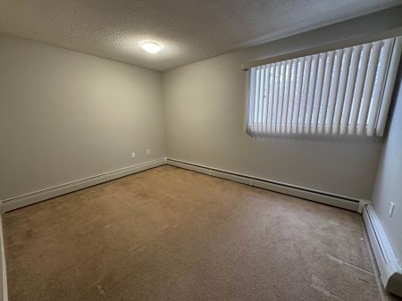 Spacious 2 Bedroom 1 Bath Apartment in the heart of Red Deer!! - Photo 2