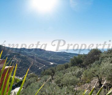 Country Property in Torrox, Andalucia , Costa del Sol - Photo 3