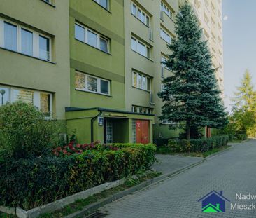 Tychy - Фото 6