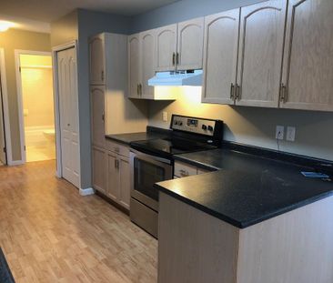 Lower Mission: Top Floor 2 bed, 2 bath – Jan.1st - Photo 1