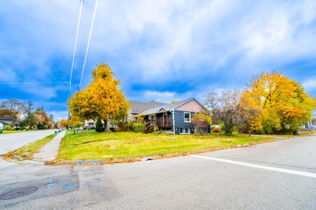 For Lease - 243 Ruggles Avenue Unit# Bsmt #2, Richmond Hill, Ontario - Photo 4