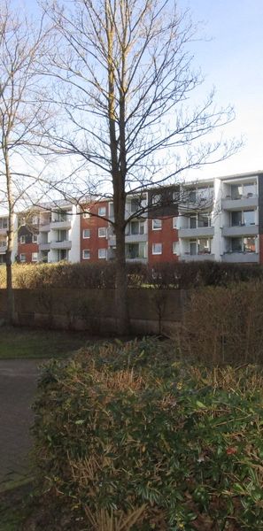 3,0-Zimmer-Wohnung in Hannover Sahlkamp - Foto 1