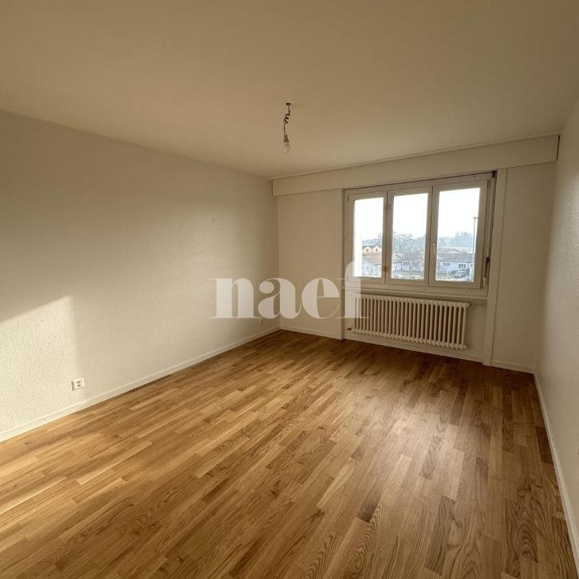 3.5 Zimmer, 70 m², 3. Stock - Photo 1