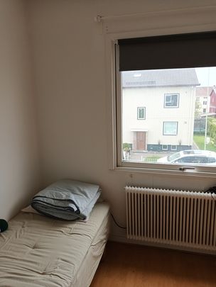 Ibsensgatan, Göteborg - Photo 1