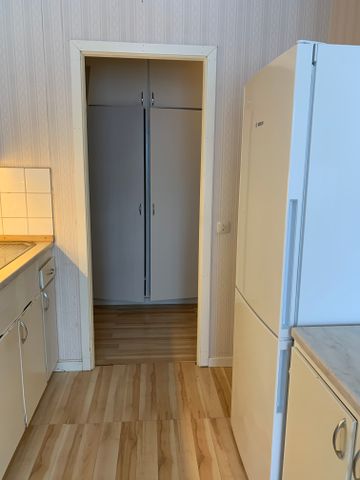 Textilvägen, Sågmyra - Foto 3