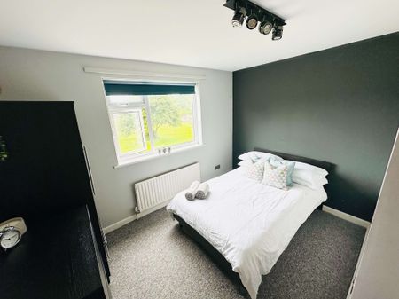 Lovely House Share in Brighton - Photo 5