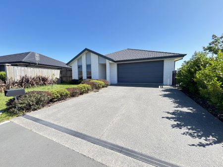 19 Geldard Drive, Rolleston - Photo 3