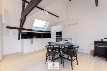 Prachtige duplex met zonnig terras aan Coupure - Photo 5