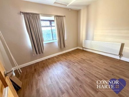 230 Barony Road, Creggan, Omagh, BT79 9AQ - Photo 3