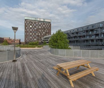 Het Hout 161 - Photo 6