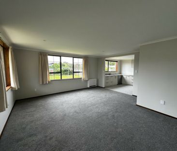 Super spacious and supper sunny! - Photo 3