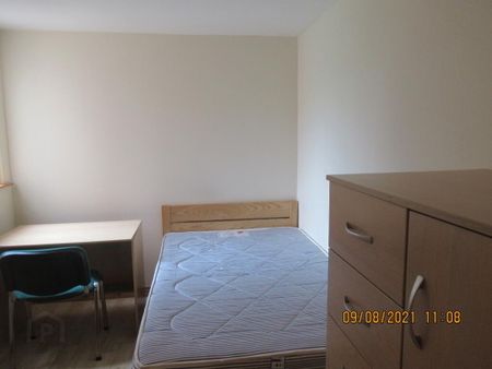 Unit 4, 50-52 Cromwell Road, Belfast, BT7 1NE - Photo 3