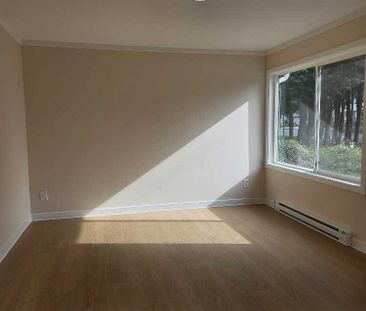 Renovated 1 bedroom with large yard - Photo 1