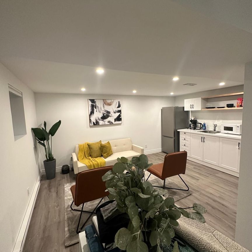 For Lease - 66 Wellington Street Unit# lower, Hamilton, Ontario - Photo 1