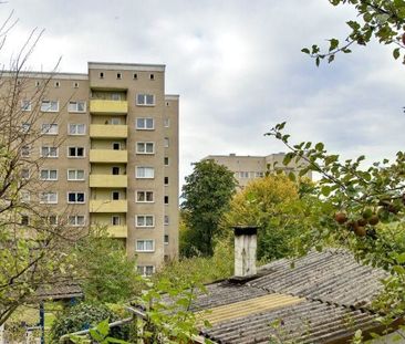 Bezugsfertige 2-Zimmer-Wohnung in Iserlohn-Löbbeckenkopf! - Photo 2