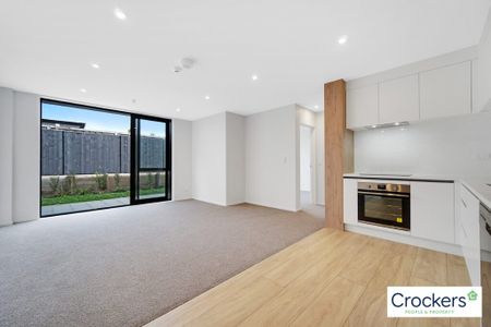 Brand New Apartment At The Heart Of Te Atatu South - Photo 3