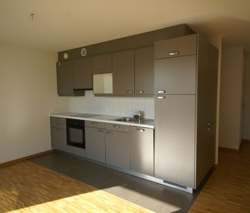 Magnifique logement 3 pièces au rez-de-chaussée à louer à Lausanne. - Photo 3