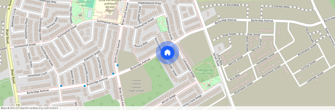 1007 EIDER Street, Blossom Park - Airport And Area