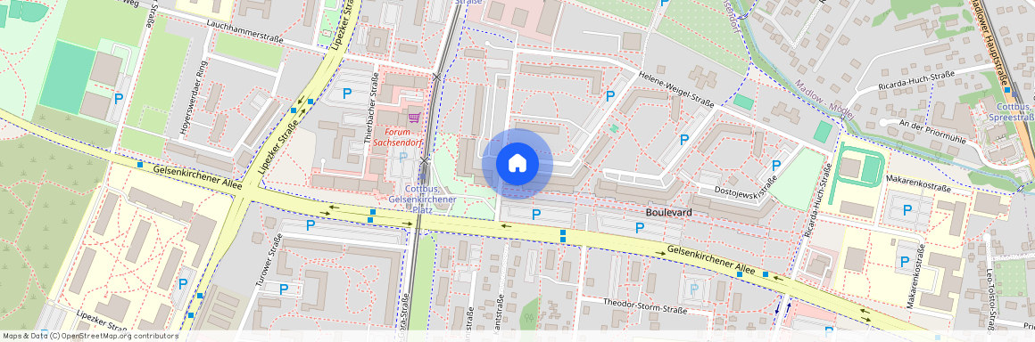 Albert-Schweitzer-Straße 13 03050 Cottbus, Sachsendorf