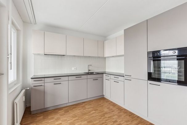 Sanierte 4.5 Zimmerwohnung mit Weitsicht - Photo 1