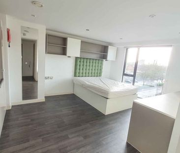 Premium Studio (Access) - Photo 4