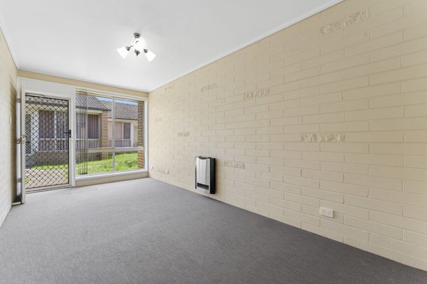 Tidy Two-Bedroom Unit in the Heart of Town - Photo 1