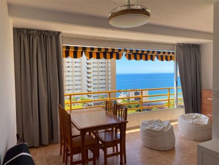 Apartamento de alquiler en Avenida de Uruguay, 10, Playa Poniente - Photo 5