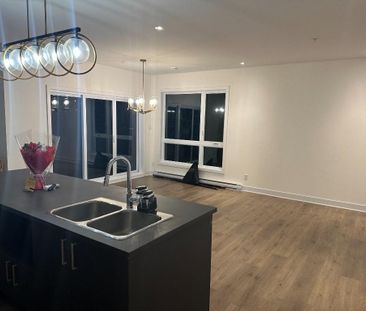 Grand condo lumineux 4 ½ au Faubourg Cousineau – Secteur recherché ... - Photo 4