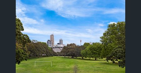 PARKSIDE PERFECTION - Photo 4